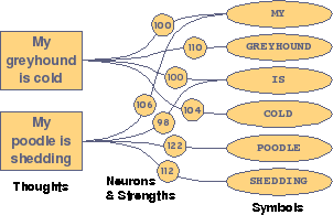 Memory Diagram